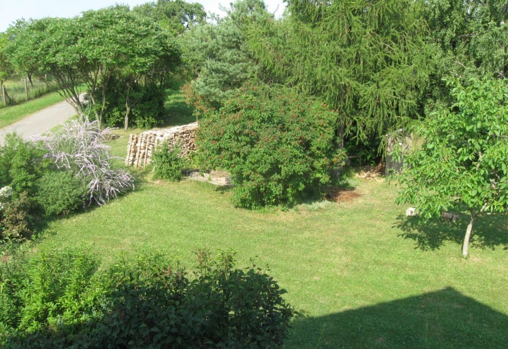 Ausblick aus der Fewo